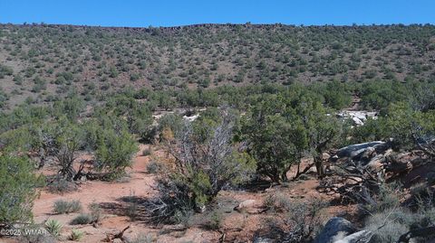 Tiny photo for 9591 Privette Trail, Snowflake, AZ 85937 (MLS # 258852)