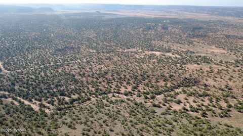 Tiny photo for 9591 Privette Trail, Snowflake, AZ 85937 (MLS # 258852)