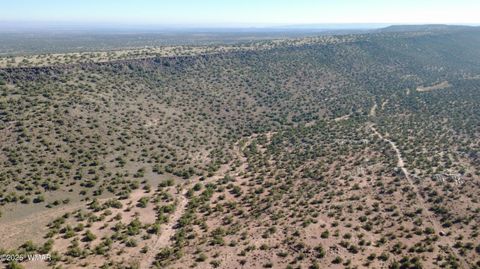 Tiny photo for 9591 Privette Trail, Snowflake, AZ 85937 (MLS # 258852)