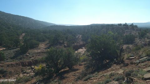 Tiny photo for 9591 Privette Trail, Snowflake, AZ 85937 (MLS # 258852)