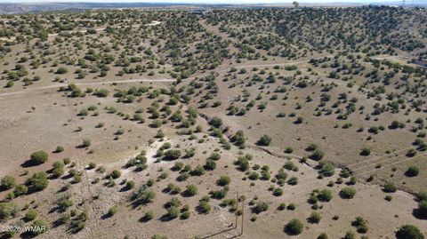 Tiny photo for 41 County Road 5062, Concho, AZ 85924 (MLS # 259380)