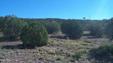 Tiny photo for 41 County Road 5062, Concho, AZ 85924 (MLS # 259380)