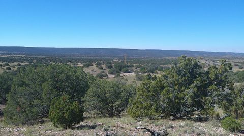 Tiny photo for 41 County Road 5062, Concho, AZ 85924 (MLS # 259380)