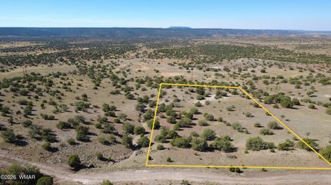 Tiny photo for 41 County Road 5062, Concho, AZ 85924 (MLS # 259380)