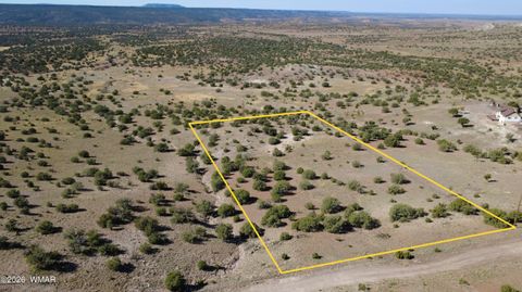 Tiny photo for 41 County Road 5062, Concho, AZ 85924 (MLS # 259380)