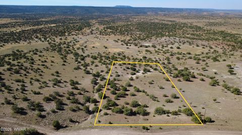 Photo of 41 County Road 5062, Concho, AZ 85924 (MLS # 259380)