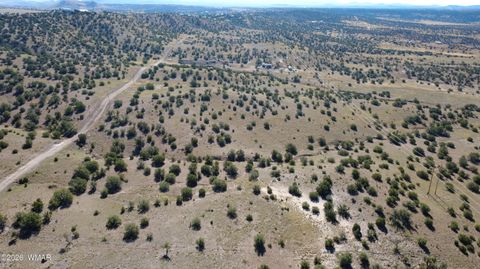 Tiny photo for 41 County Road 5062, Concho, AZ 85924 (MLS # 259380)