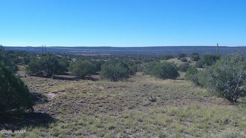 Tiny photo for 41 County Road 5062, Concho, AZ 85924 (MLS # 259380)