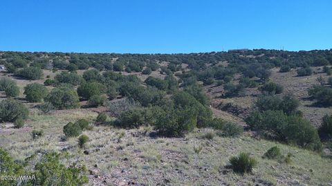 Tiny photo for 41 County Road 5062, Concho, AZ 85924 (MLS # 259380)