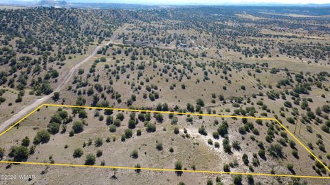Tiny photo for 41 County Road 5062, Concho, AZ 85924 (MLS # 259380)