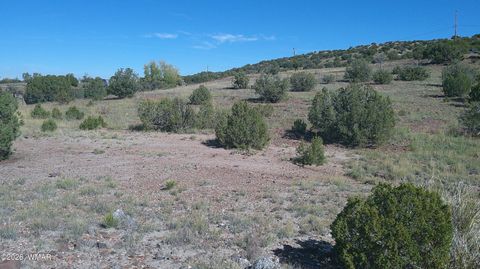 Tiny photo for 41 County Road 5062, Concho, AZ 85924 (MLS # 259380)