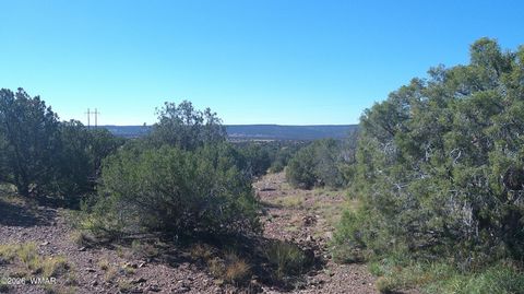 Tiny photo for 41 County Road 5062, Concho, AZ 85924 (MLS # 259380)