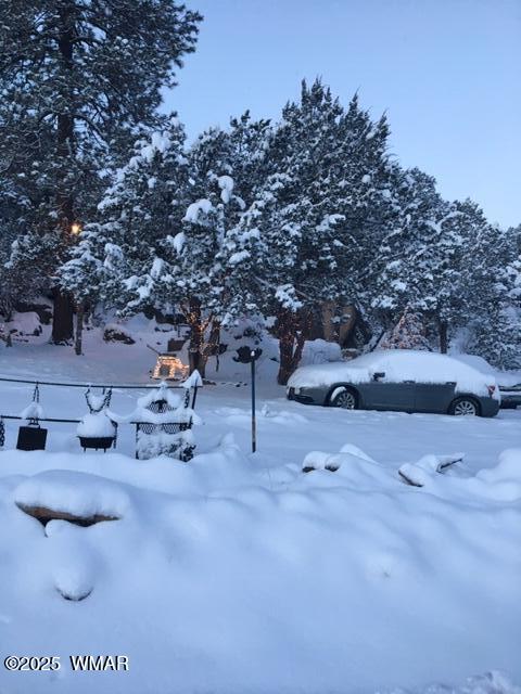 Tiny photo for 3424 Butts Lane, Heber, AZ 85928 (MLS # 262531)