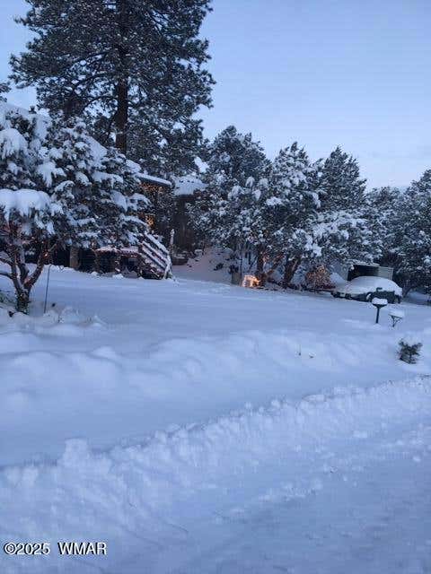 Tiny photo for 3424 Butts Lane, Heber, AZ 85928 (MLS # 262531)
