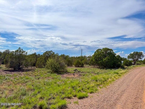 Tiny photo for 8543 & 8545 Loveridge Drive, Show Low, AZ 85901 (MLS # 262872)