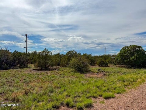 Tiny photo for 8543 & 8545 Loveridge Drive, Show Low, AZ 85901 (MLS # 262872)