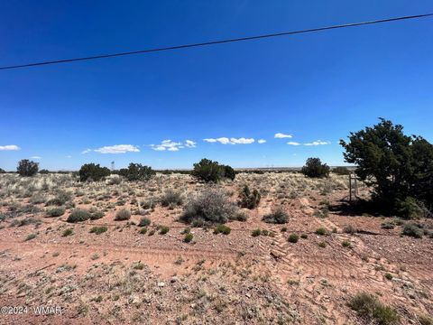 Tiny photo for 5347 Old Woodruff Road, Snowflake, AZ 85937 (MLS # 253634)