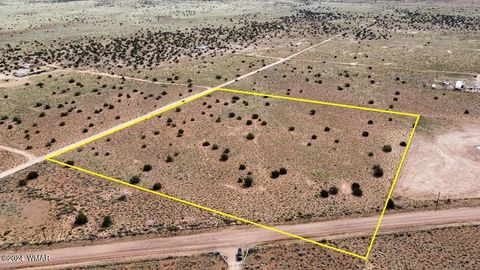Photo of 5347 Old Woodruff Road, Snowflake, AZ 85937 (MLS # 253634)