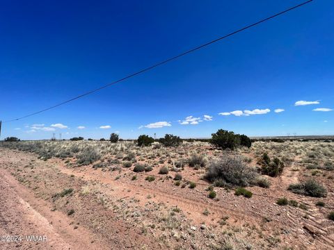 Tiny photo for 5347 Old Woodruff Road, Snowflake, AZ 85937 (MLS # 253634)