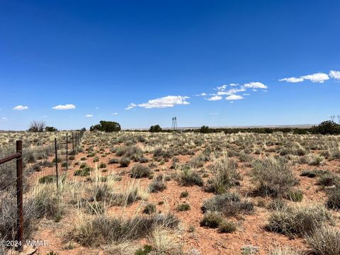Tiny photo for 5347 Old Woodruff Road, Snowflake, AZ 85937 (MLS # 253634)