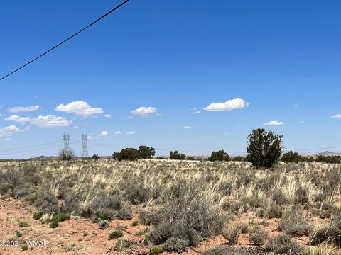 Tiny photo for 5347 Old Woodruff Road, Snowflake, AZ 85937 (MLS # 253634)