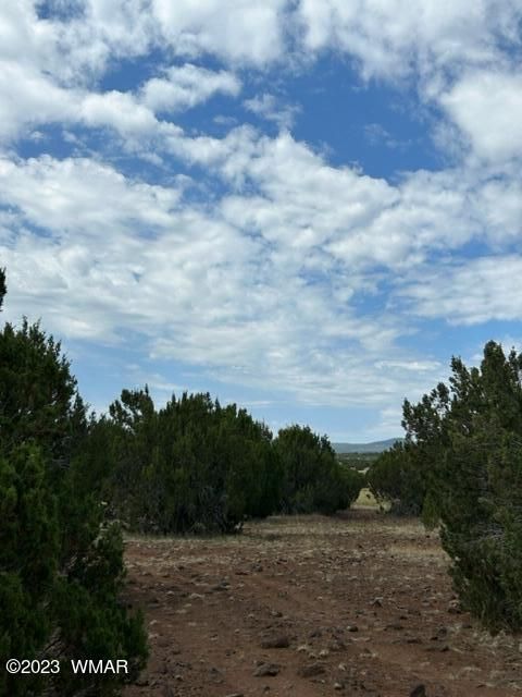 Tiny photo for TBD N3109 & N3102, Vernon, AZ 85940 (MLS # 246920)