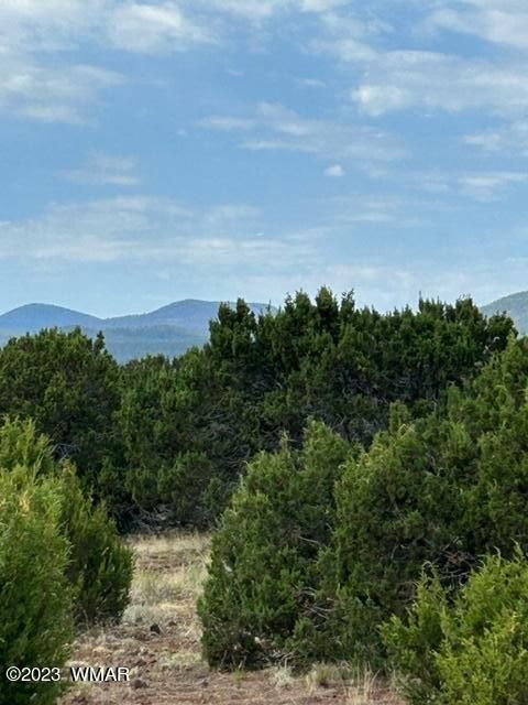 Tiny photo for TBD N3109 & N3102, Vernon, AZ 85940 (MLS # 246920)