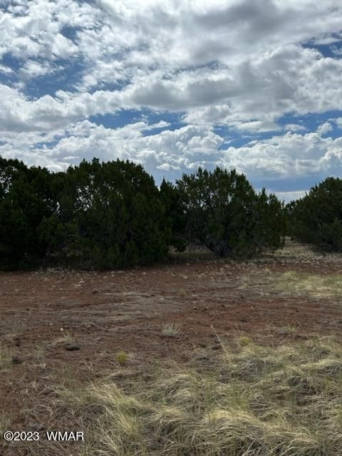 Tiny photo for TBD N3109 & N3102, Vernon, AZ 85940 (MLS # 246920)