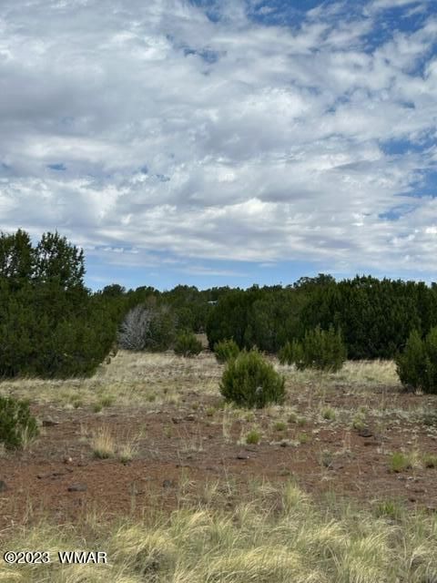Tiny photo for TBD N3109 & N3102, Vernon, AZ 85940 (MLS # 246920)