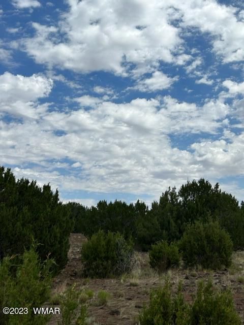 Tiny photo for TBD N3109 & N3102, Vernon, AZ 85940 (MLS # 246920)