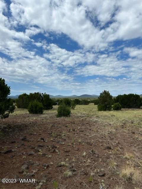 Tiny photo for TBD N3109 & N3102, Vernon, AZ 85940 (MLS # 246920)