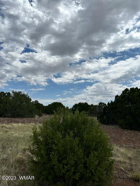 Tiny photo for TBD N3109 & N3102, Vernon, AZ 85940 (MLS # 246920)