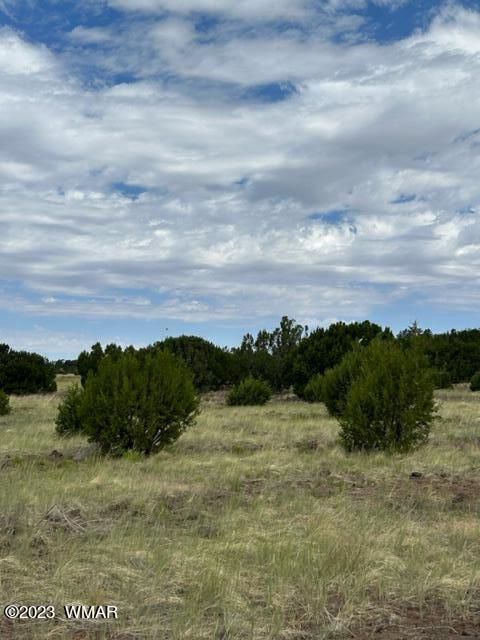 Tiny photo for TBD N3109 & N3102, Vernon, AZ 85940 (MLS # 246920)