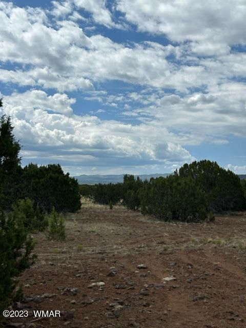 Tiny photo for TBD N3109 & N3102, Vernon, AZ 85940 (MLS # 246920)