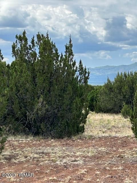 Tiny photo for TBD N3109 & N3102, Vernon, AZ 85940 (MLS # 246920)