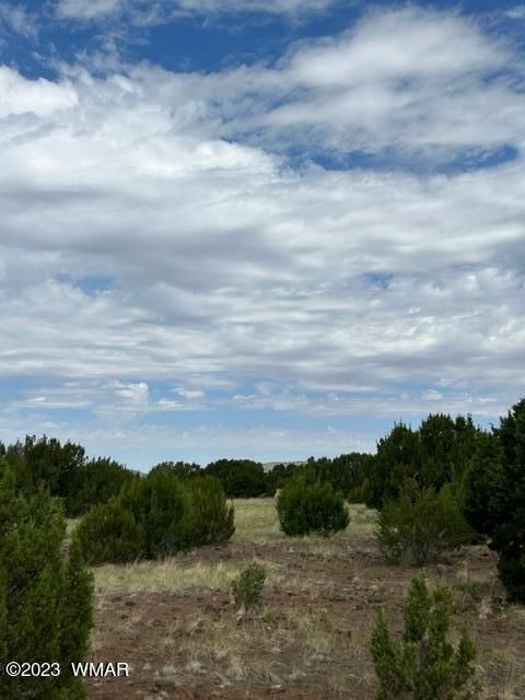 Tiny photo for TBD N3109 & N3102, Vernon, AZ 85940 (MLS # 246920)