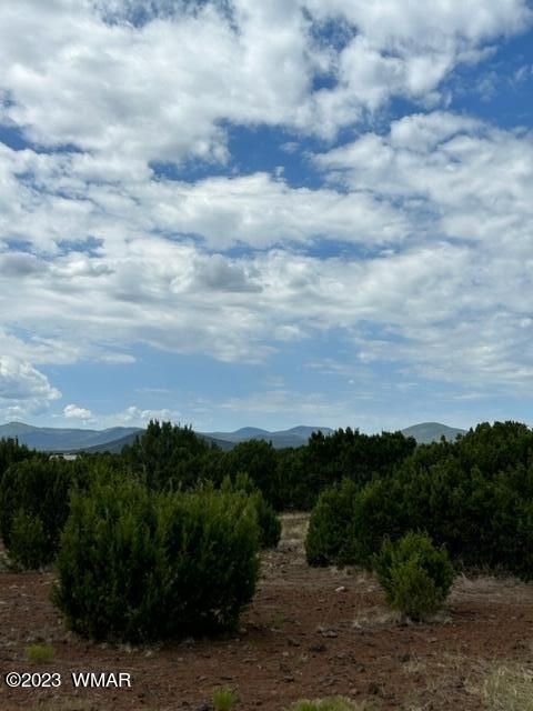 Tiny photo for TBD N3109 & N3102, Vernon, AZ 85940 (MLS # 246920)