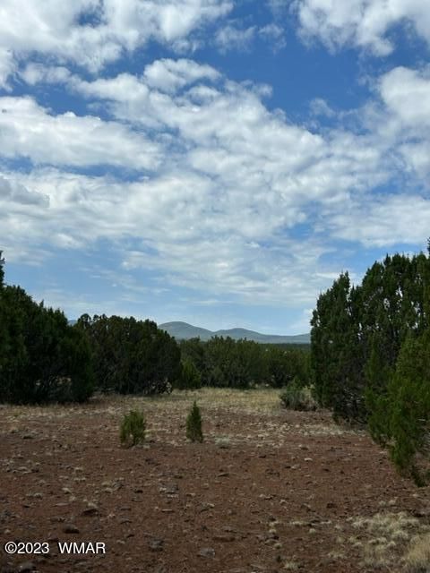 Tiny photo for TBD N3109 & N3102, Vernon, AZ 85940 (MLS # 246920)