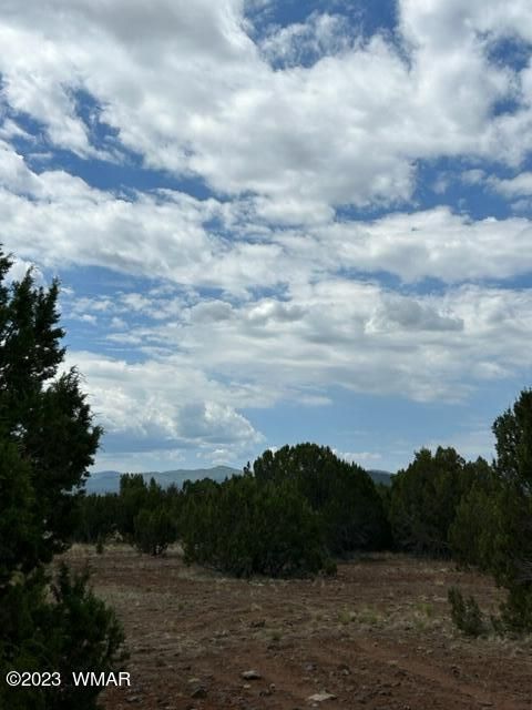 Tiny photo for TBD N3109 & N3102, Vernon, AZ 85940 (MLS # 246920)