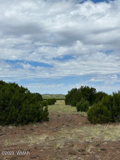 Tiny photo for TBD N3109 & N3102, Vernon, AZ 85940 (MLS # 246920)