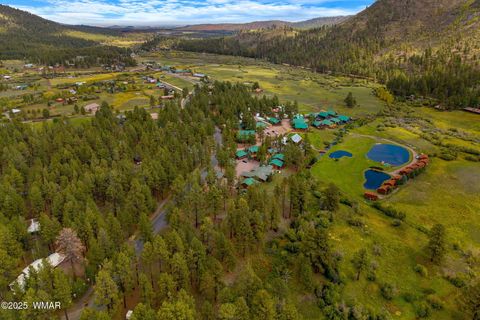 Tiny photo for 32 County Road 1120, Greer, AZ 85927 (MLS # 258185)