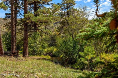 Tiny photo for 32 County Road 1120, Greer, AZ 85927 (MLS # 258185)
