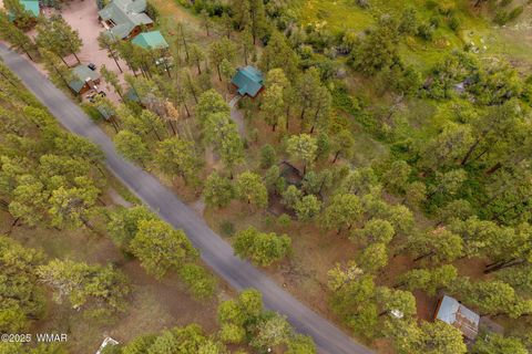 Tiny photo for 32 County Road 1120, Greer, AZ 85927 (MLS # 258185)