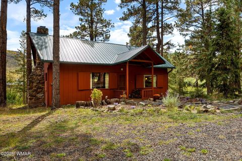 Photo of 32 County Road 1120, Greer, AZ 85927 (MLS # 258185)