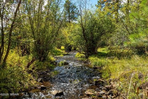Tiny photo for 32 County Road 1120, Greer, AZ 85927 (MLS # 258185)