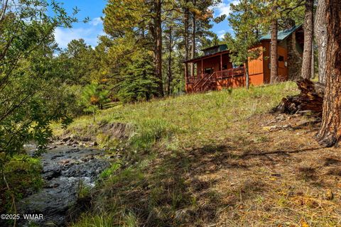 Tiny photo for 32 County Road 1120, Greer, AZ 85927 (MLS # 258185)