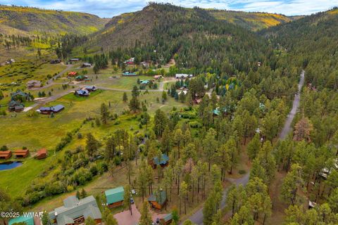 Tiny photo for 32 County Road 1120, Greer, AZ 85927 (MLS # 258185)
