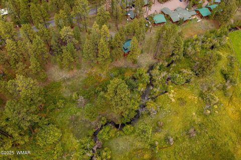 Tiny photo for 32 County Road 1120, Greer, AZ 85927 (MLS # 258185)