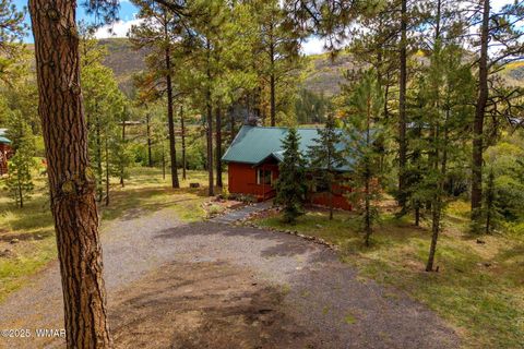 Tiny photo for 32 County Road 1120, Greer, AZ 85927 (MLS # 258185)