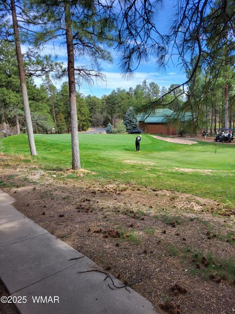 Tiny photo for 3471 W Old Linden Road, Show Low, AZ 85901 (MLS # 255455)